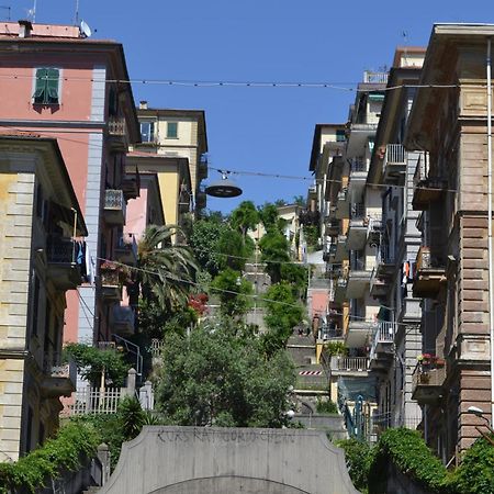 Alba Rooms La Spezia Dış mekan fotoğraf
